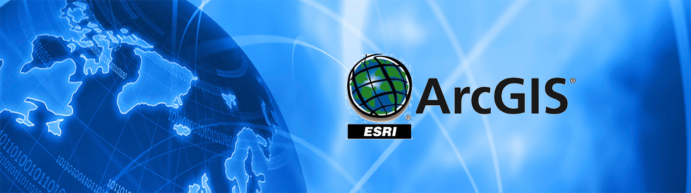 Vision International
